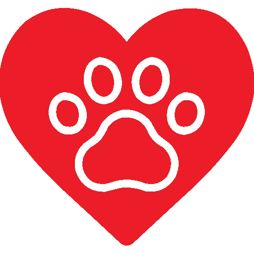 dog training,dog boarding,cat boarding bahrain,dog boarding bahrain,doggie day care,dog training bahrain,doggie day care bahrain,pet school bahrain,-,pet training,cat hotel bahrain,pet store bahrain,pet adoption bahrain,dog daycare,dog lodging,dog school bahrain