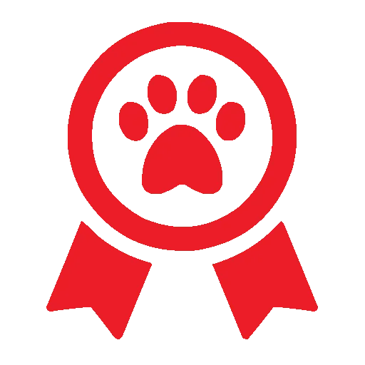 dog training,dog boarding,cat boarding bahrain,dog boarding bahrain,doggie day care,dog training bahrain,doggie day care bahrain,pet school bahrain,-,pet training,cat hotel bahrain,pet store bahrain,pet adoption bahrain,dog daycare,dog lodging,dog school bahrain