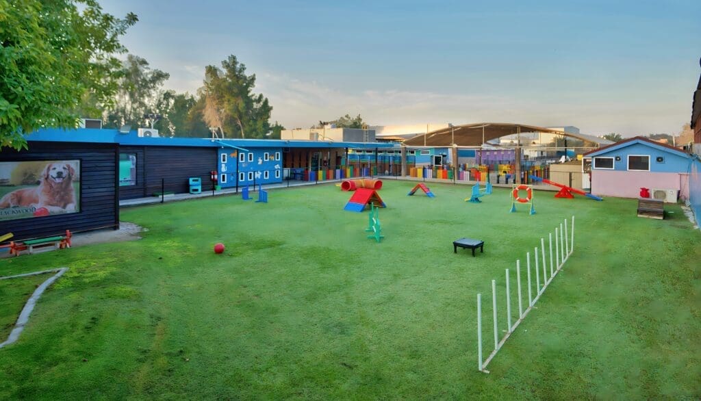 Bahrain's Premier Pet Hotel Services 1 Luxury Bed