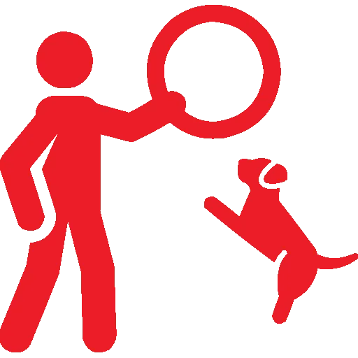 dog training,dog boarding,cat boarding bahrain,dog boarding bahrain,doggie day care,dog training bahrain,doggie day care bahrain,pet school bahrain,-,pet training,cat hotel bahrain,pet store bahrain,pet adoption bahrain,dog daycare,dog lodging,dog school bahrain