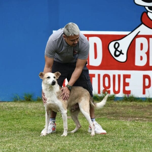 dog adoption, pet adoption bahrain, pet relocation bahrain